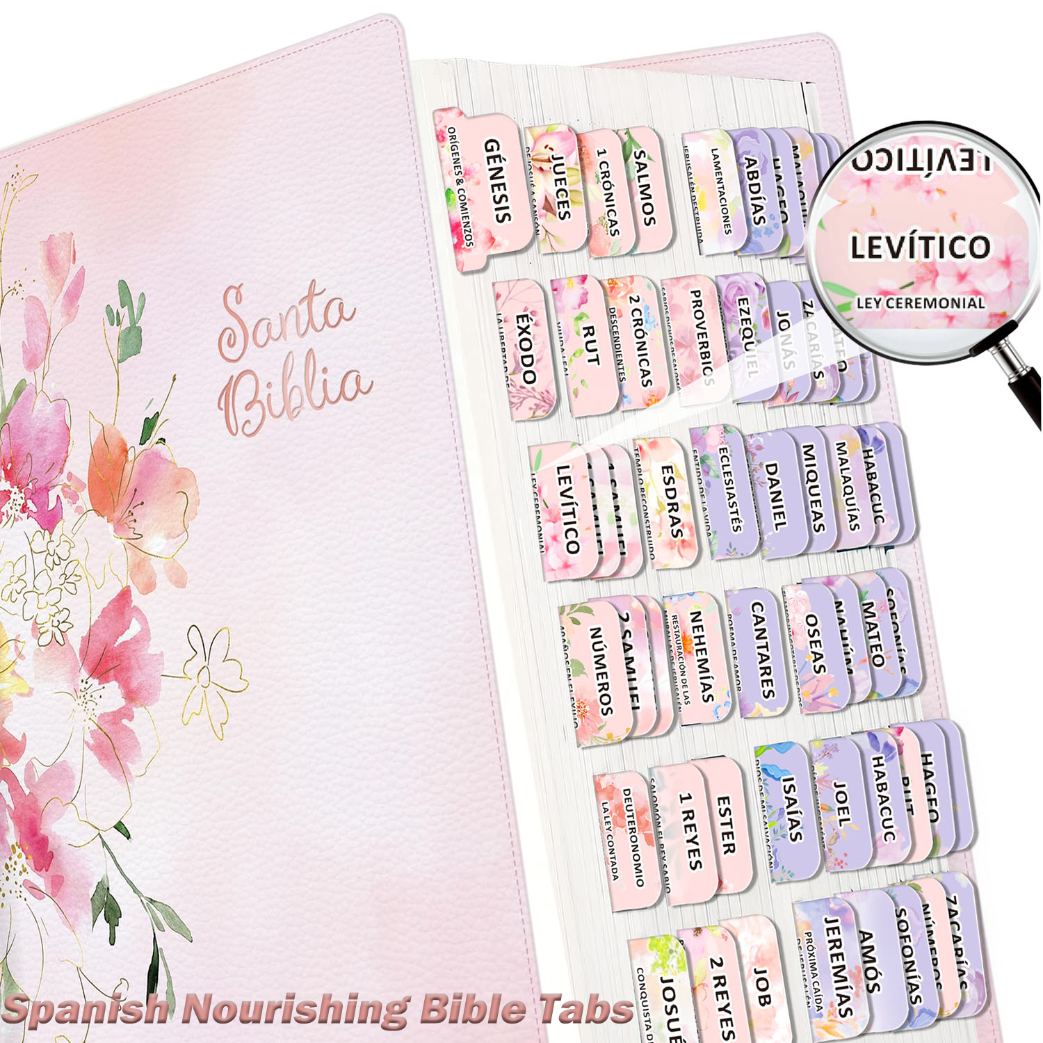 80pcs Spanish Bible Tabs-Soul  - Index Tab Divider ulasan dan harga