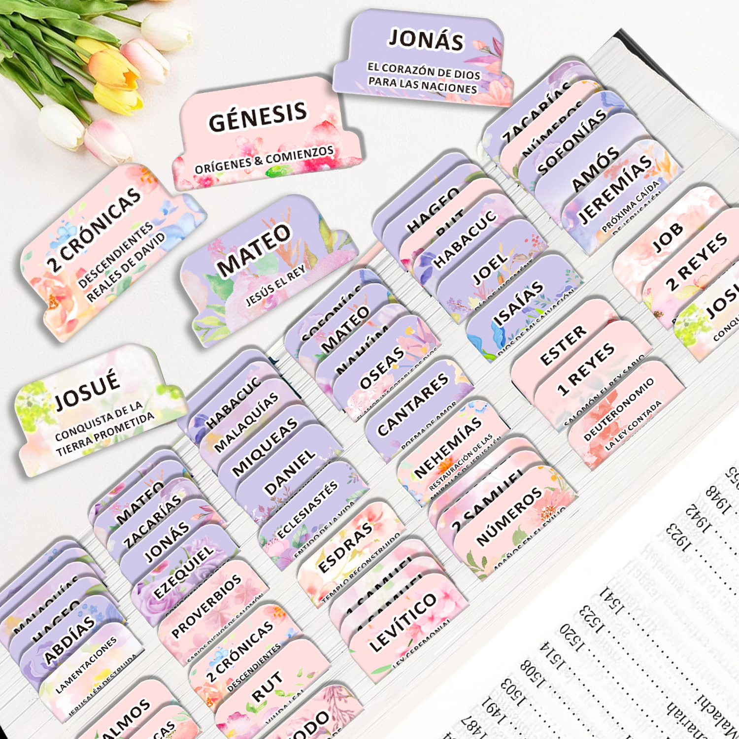 80pcs Spanish Bible Tabs-Soul  - Index Tab Divider ulasan dan harga