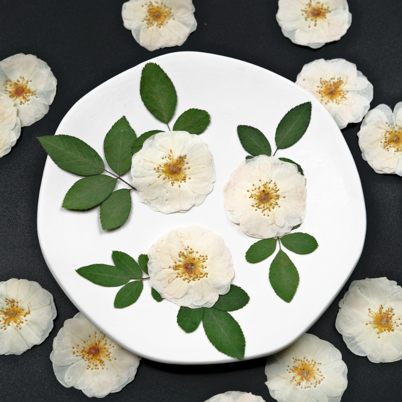 6pcs,9pcs,Nature White Rose Pr - Wax Seal Stamp Kit ulasan dan harga