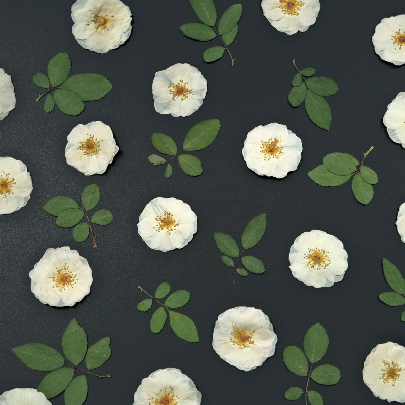 6pcs,9pcs,Nature White Rose Pr - Wax Seal Stamp Kit ulasan dan harga