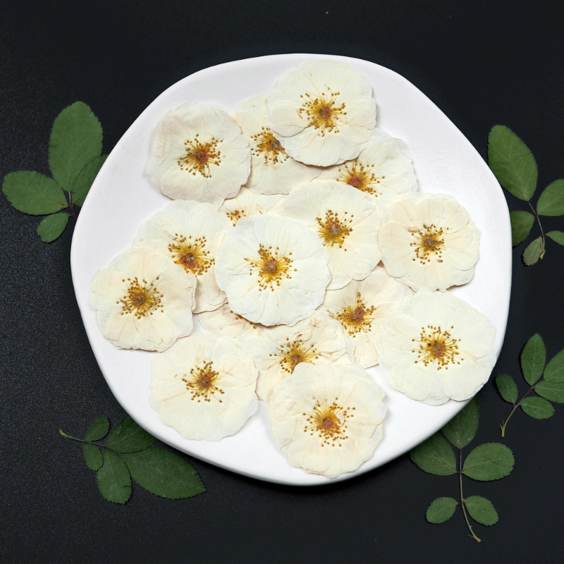 6pcs,9pcs,Nature White Rose Pr - Wax Seal Stamp Kit ulasan dan harga