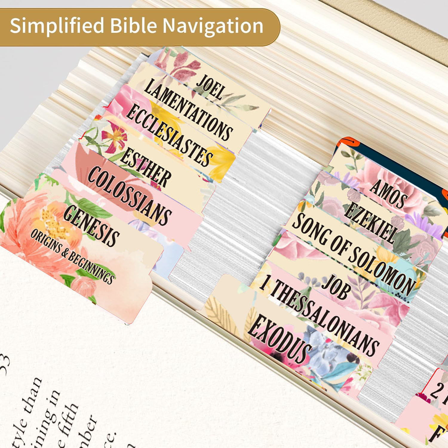 75pcs Large Font Sacred Text I - Index Tab Divider ulasan dan harga