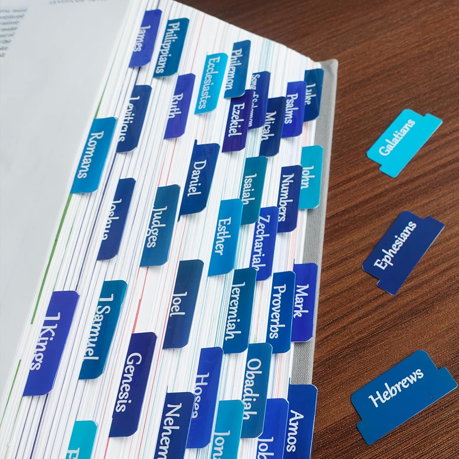 Bible Tabs for Women and Men E - Index Tab Divider ulasan dan harga